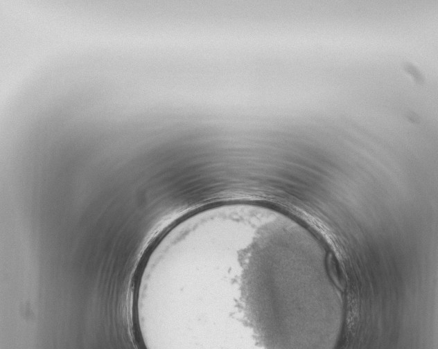 X0000115421179200912011240