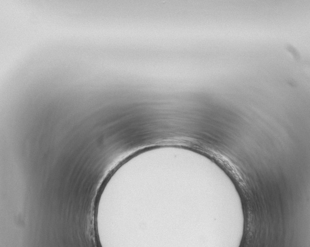 X0000115421184200912011240