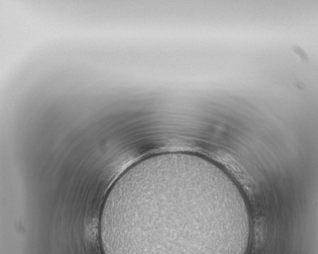 X0000115421185200912011240