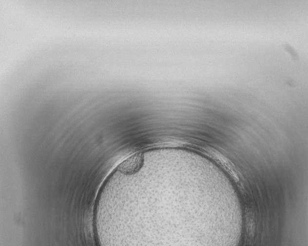 X0000115421186200912011240