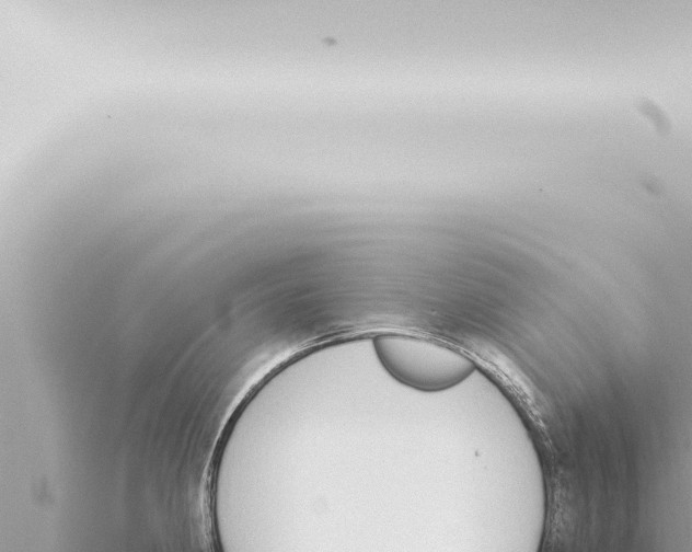 X0000115421190200912011240