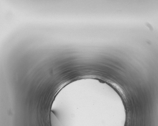 X0000115421193200912011240