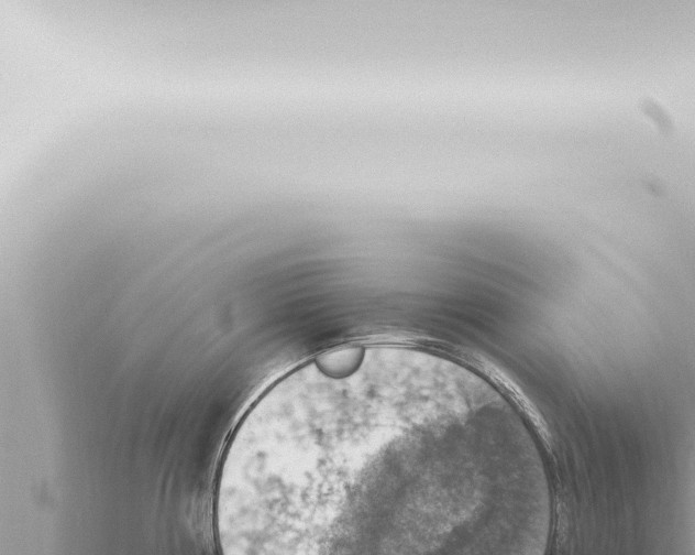 X0000115421194200912011240