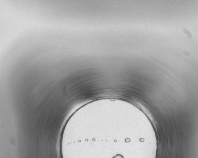 X0000115421195200912011240