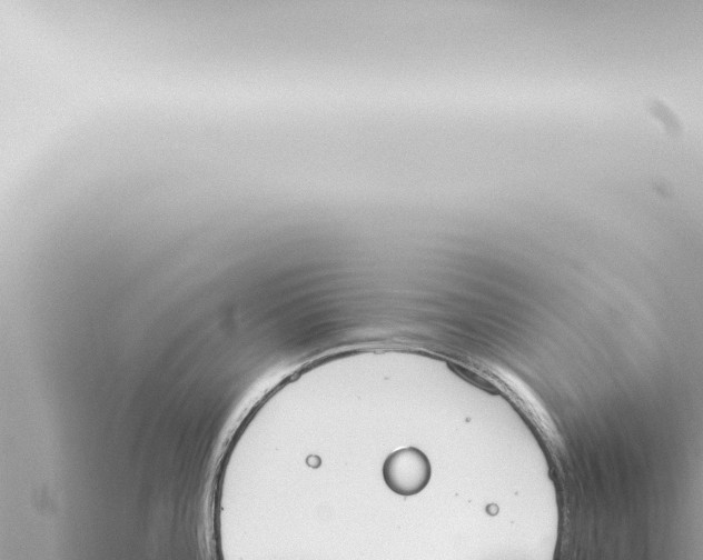 X0000115421196200912011240