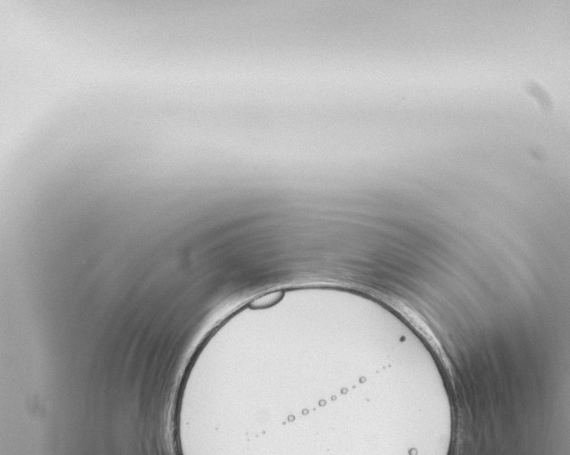 X0000115421197200912011240