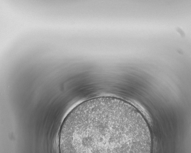 X0000115421198200912011240