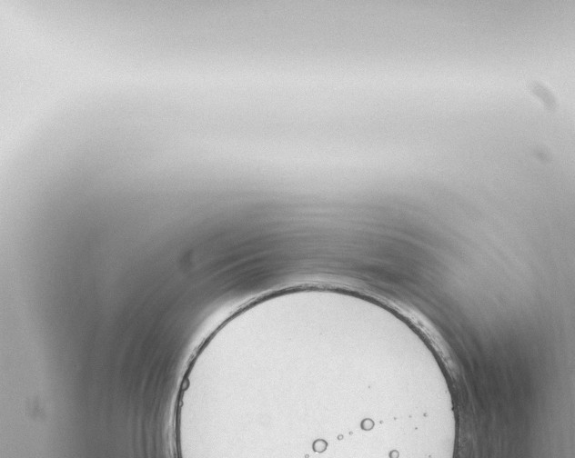 X0000115421199200912011240