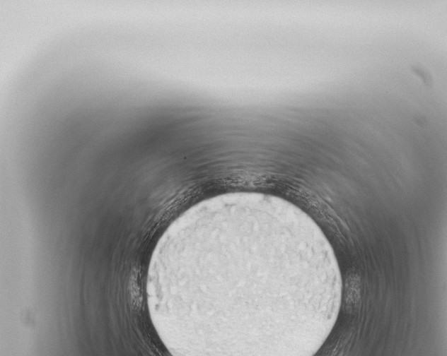 X0000115421202200912011239