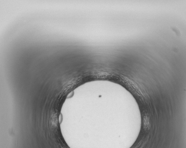 X0000115421204200912011239