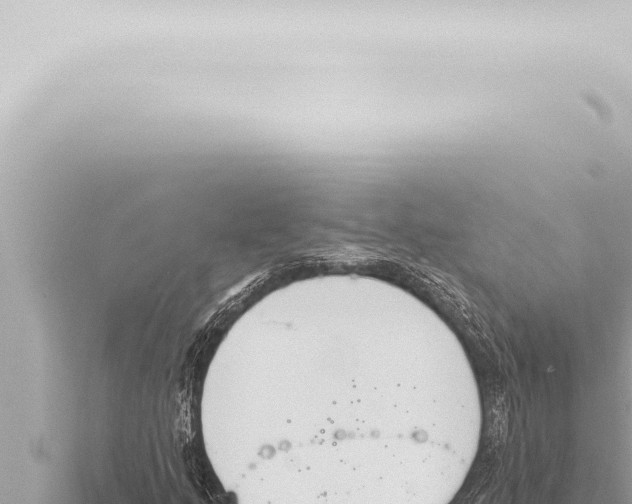 X0000115421205200912011239