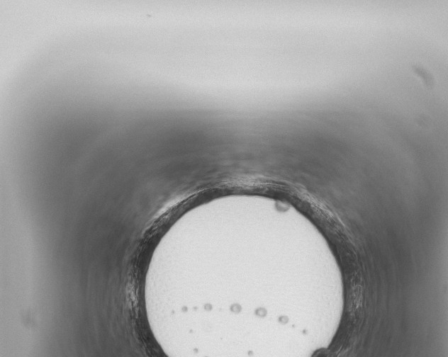 X0000115421206200912011239