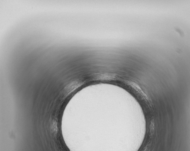 X0000115421209200912011239