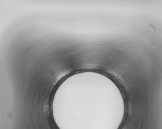 X0000115421210200912011239