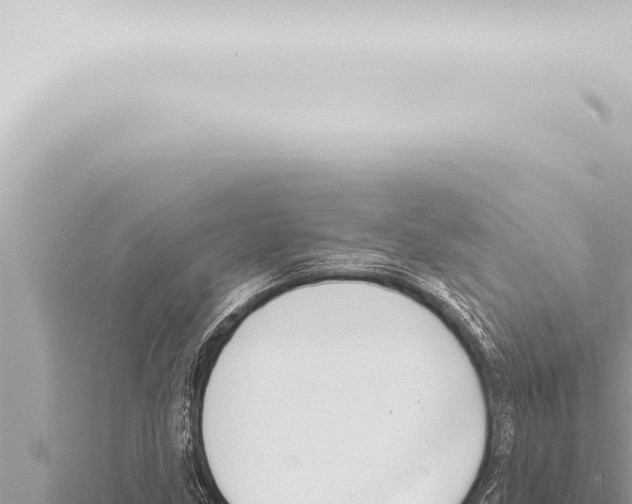 X0000115421211200912011239