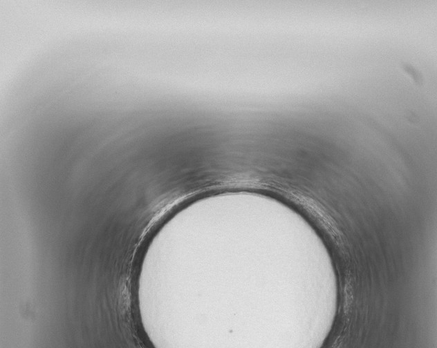 X0000115421212200912011239