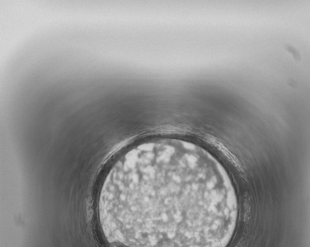 X0000115421213200912011239