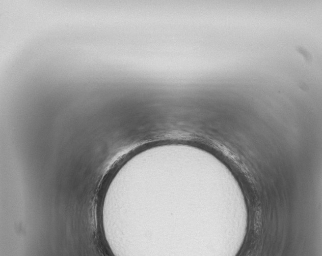 X0000115421214200912011239