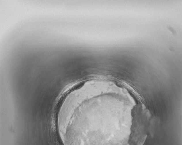 X0000115421215200912011239