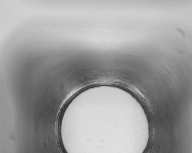 X0000115421216200912011239