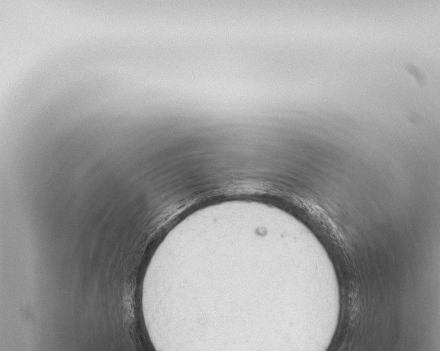 X0000115421217200912011239