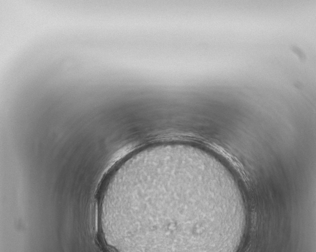 X0000115421219200912011239