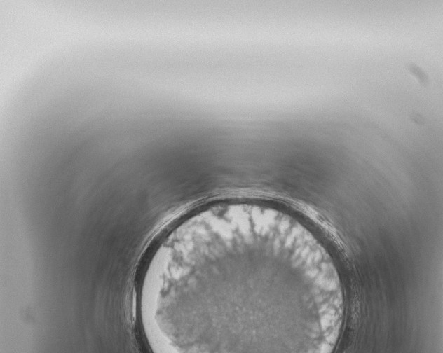 X0000115421221200912011239