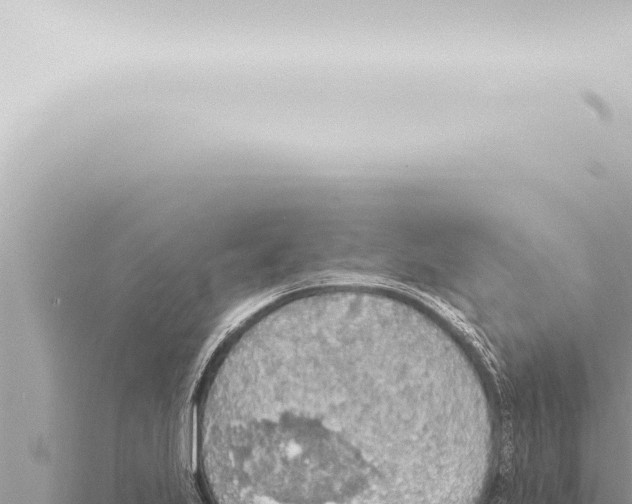 X0000115421223200912011239