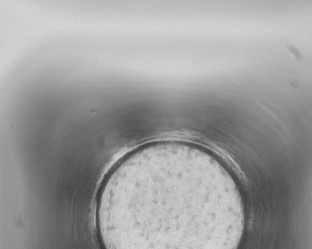 X0000115421224200912011239