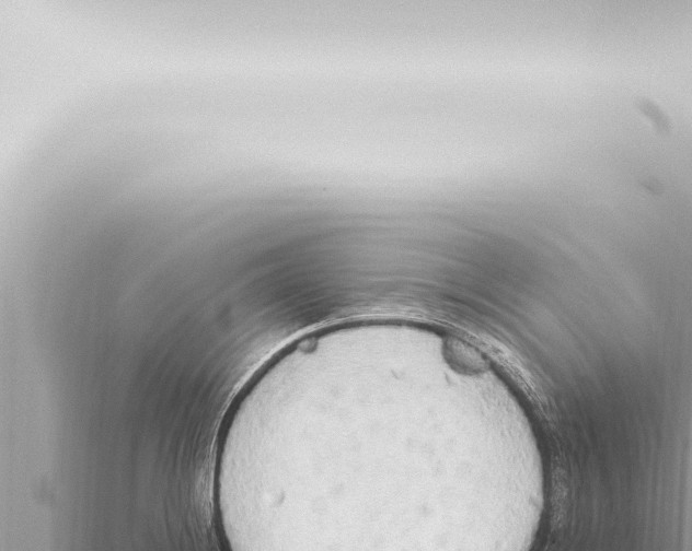 X0000115421228200912011239