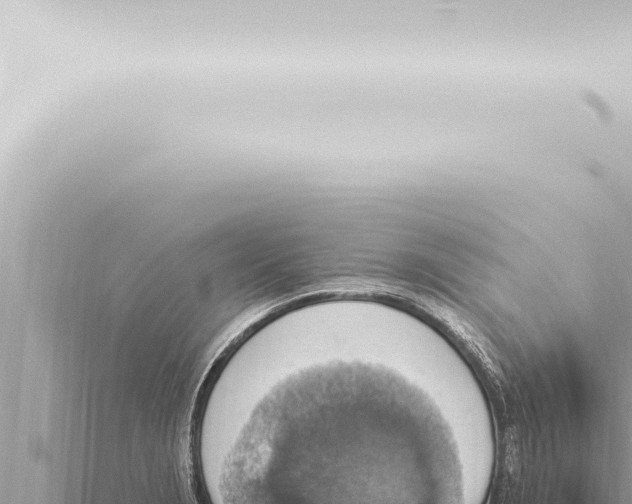 X0000115421229200912011239