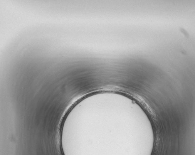 X0000115421232200912011239