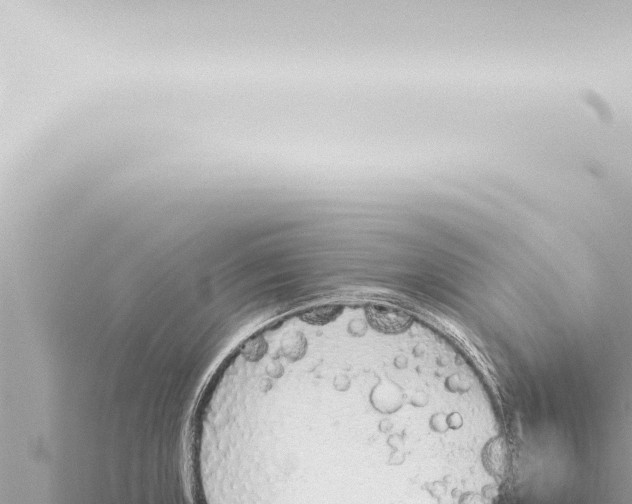 X0000115421235200912011239