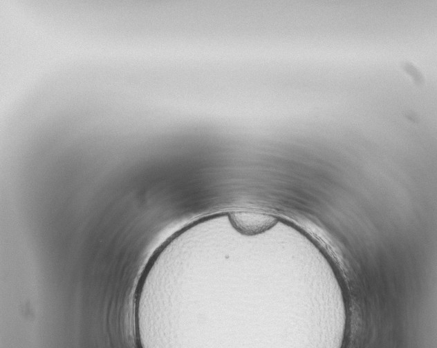 X0000115421238200912011240