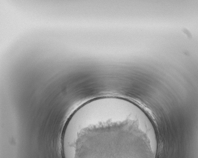 X0000115421239200912011240