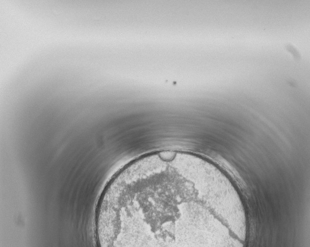 X0000115421240200912011240