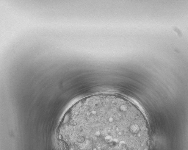 X0000115421243200912011240