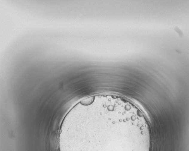 X0000115421244200912011240