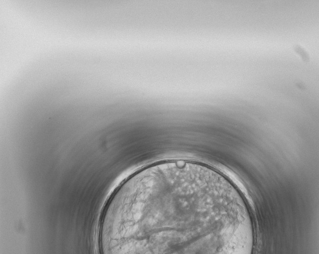 X0000115421245200912011240