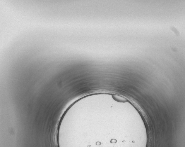 X0000115421246200912011240