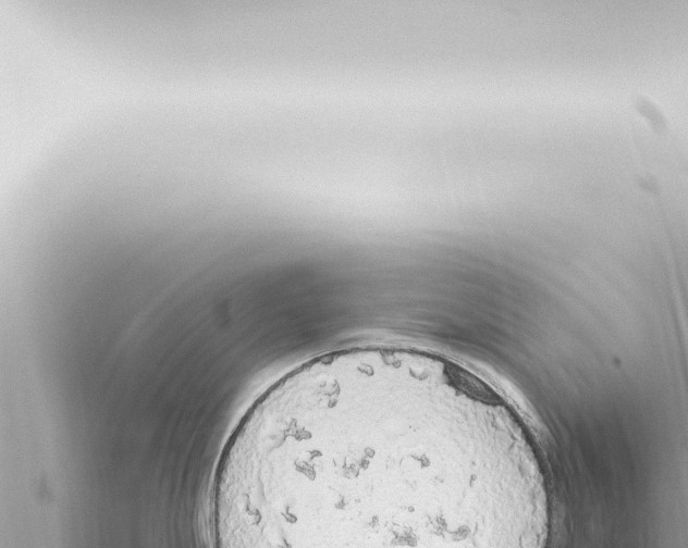 X0000115421247200912011240