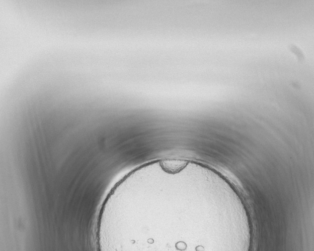 X0000115421248200912011240