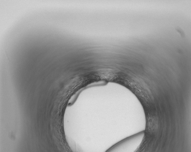 X0000115421249200912011239