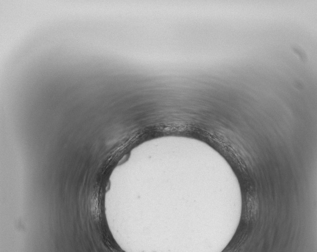 X0000115421250200912011239