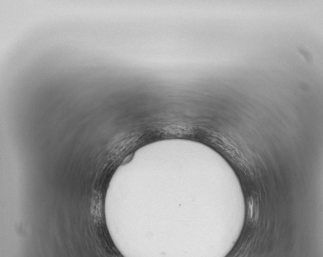 X0000115421251200912011239