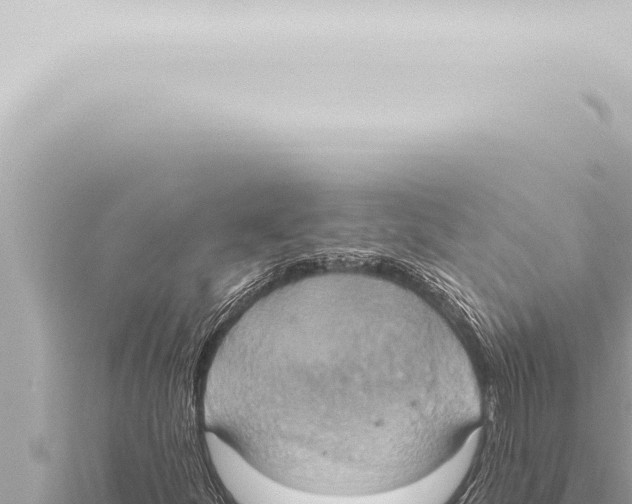 X0000115421252200912011239