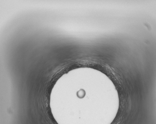 X0000115421253200912011239