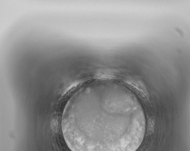 X0000115421254200912011239