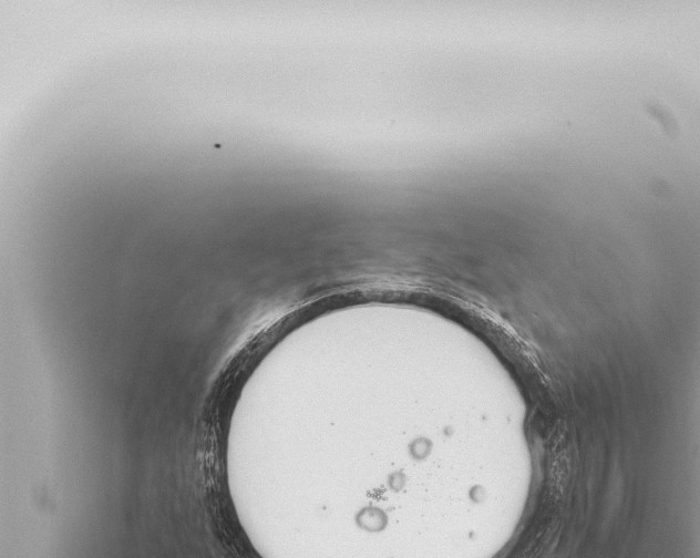 X0000115421255200912011239