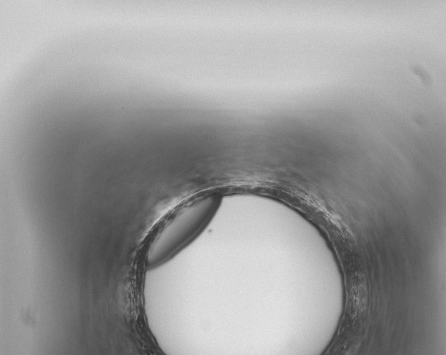 X0000115421256200912011239